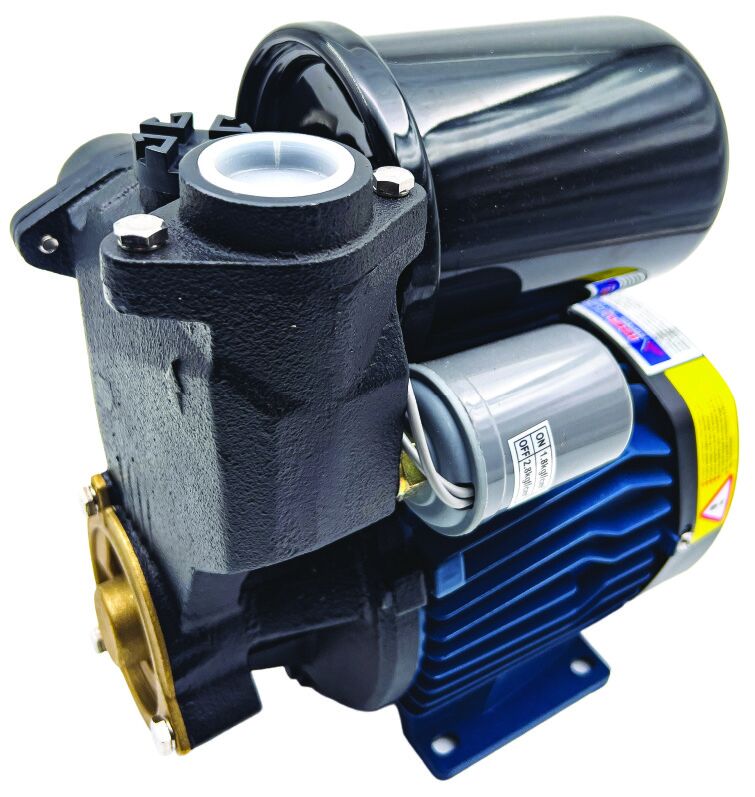DGP SERİSİ BAKIR SARGILI HİDROFORLU MİKRO VORTEX POMPA DGP130-D